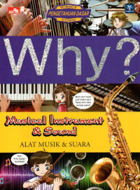 Image of Why? Musical Instrument & Sound