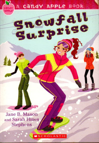 Image of Snowfall Surprise
